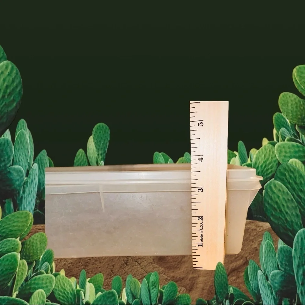 Vintage Tupperware Storage Container (Rectangular) Clear/White - Picture 4 of 7